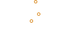 НВП ВЕБЕР